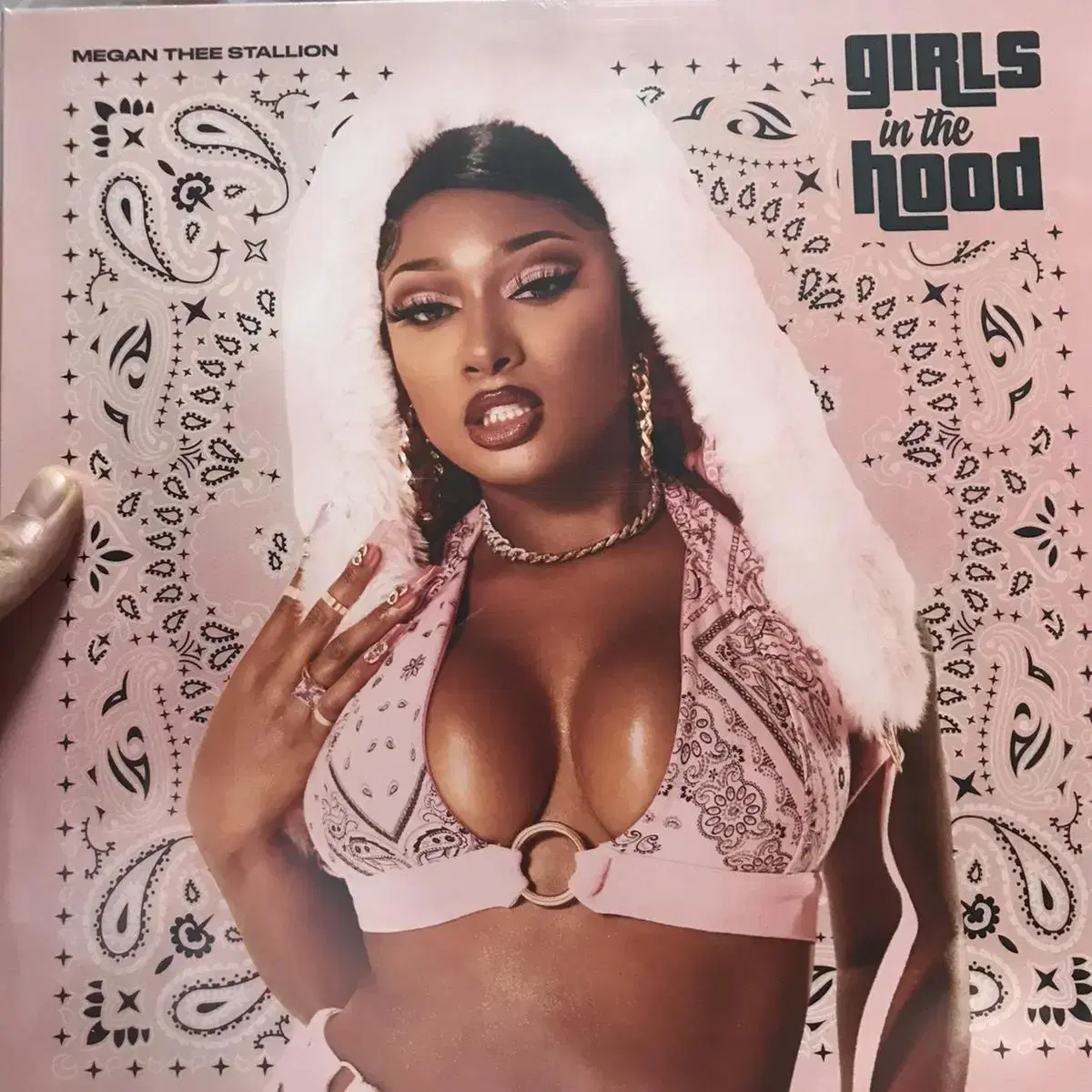 Megan thee stallion - Girls In The Hood